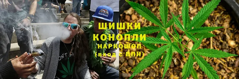 Каннабис OG Kush  Опочка 